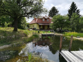 Ferienhaus mit biologischem Schwimmteich